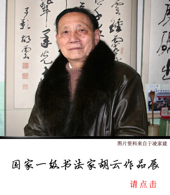 国家一级书法家胡云 国家一级书法家胡云