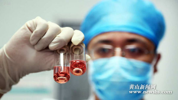Chinese hospital transplants pig’s cornea in human for the first time Chinese hospital transplants pig’s cornea in human for the first time
