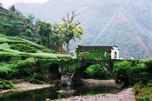 博鳌旅游风景区_博鳌旅游收入(3)