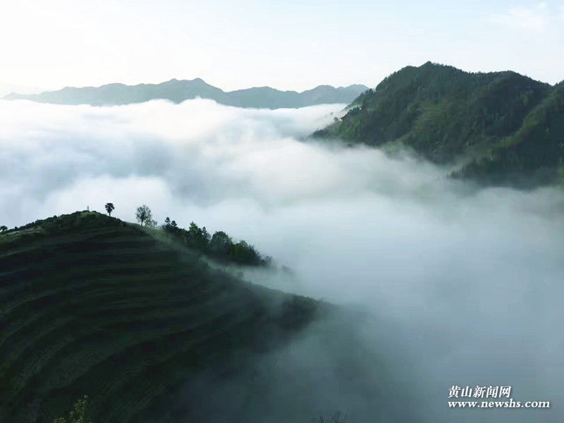 蜈蚣岭:雨后云海惹人爱 蜈蚣岭:雨后云海惹人爱