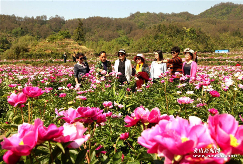花香引客游山村 花香引客游山村