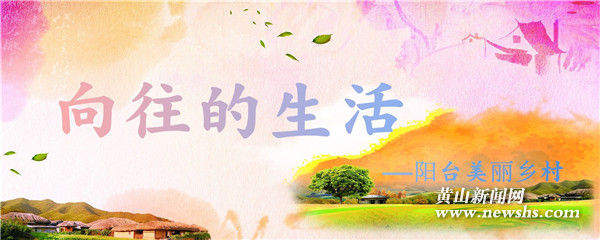 向往的生活——阳台美丽乡村 向往的生活——阳台美丽乡村