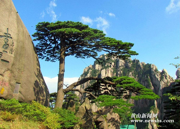 秘籍将至,请收好这份黄山市旅游"长假"四川藏区旅游攻略图片