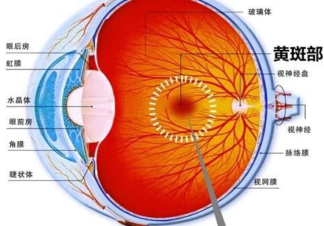 黄山市人民医院开展眼底激光治疗 黄山市人民医院开展眼底激光治疗
