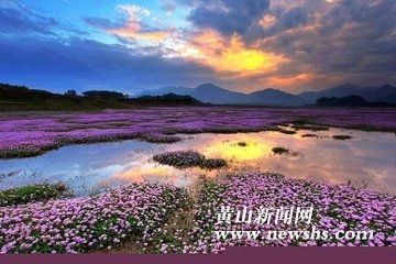 徽州波光潋滟的湖 徽州波光潋滟的湖