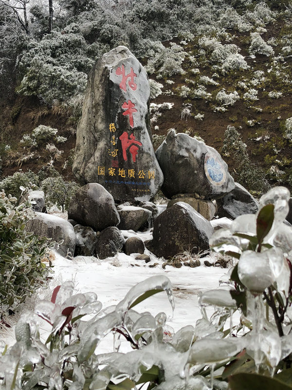 2017年度黄山市十大新闻获奖名单 2017年度黄山市十大新闻获奖名单