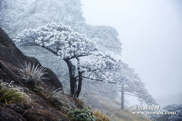 受雨雪天气影响黄山西海大峡谷临时封闭 观光缆车同期停止营业 受雨雪天气影响黄山西海大峡谷临时封闭 观光缆车同期停止营业