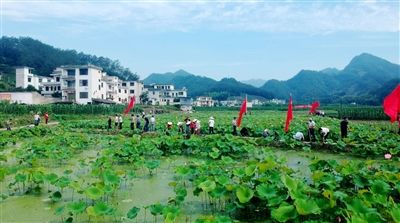 歙县溪头镇: 奏响田园综合体建设序曲 歙县溪头镇: 奏响田园综合体建设序曲
