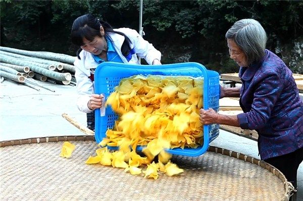 苞芦松俏市场