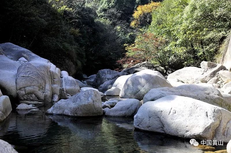 秋冬之交走进黄山松谷景区