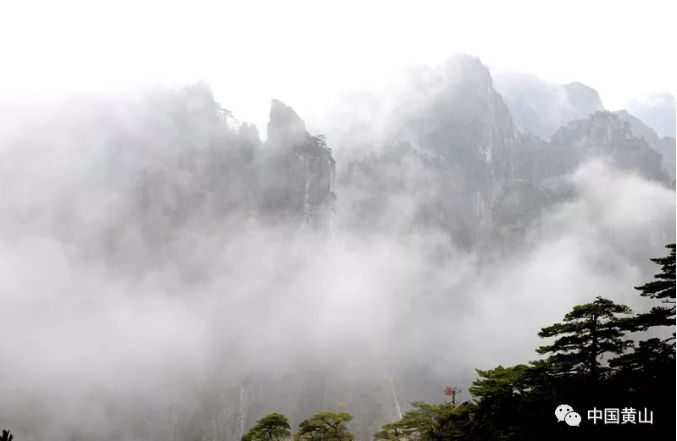 黄山西海大峡谷恢复开放，云雾缭绕美若水墨仙境