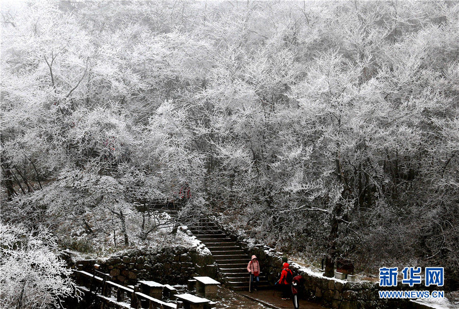 黄山风景区迎来今冬首场降雪