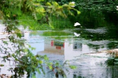 西溪南派出所创新基层治理 夯实平安之基