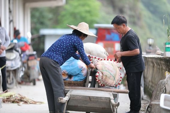 唱响库区大地和谐之歌 ——休宁县推进月潭水库移民搬迁安置工作纪实
