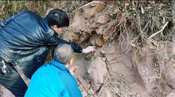 花山石林发现恐龙蛋化石？