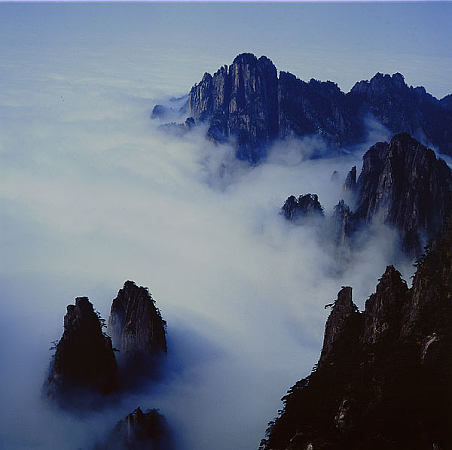 九龙峰自然保护区托管成效显