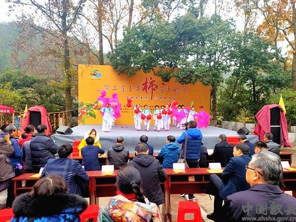 “品味歙县·自在乡村”——第二届上丰柿子丰收节隆重举行