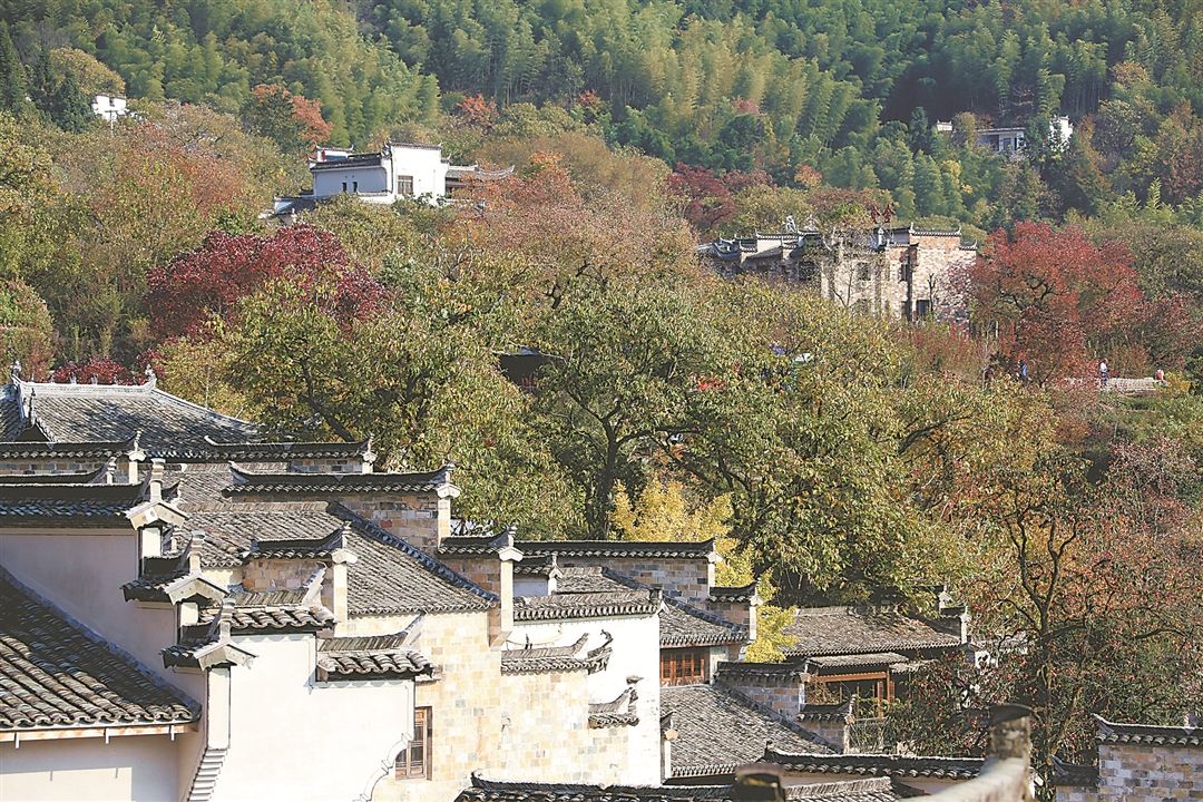 传统古村落的“旧”与“新”