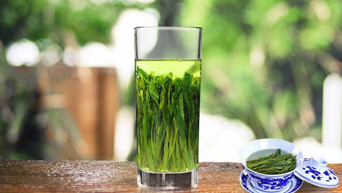 【春游江淮请您来】一年除了四季，还有一个安徽的茶季