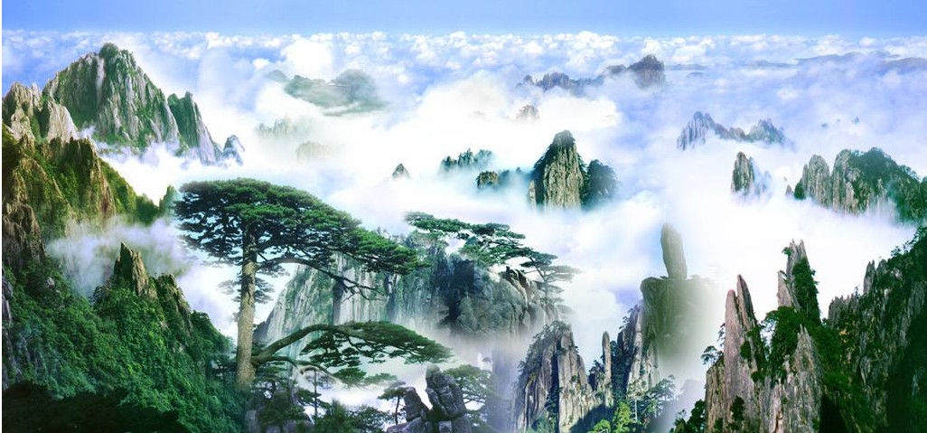安徽第一，全国第九！黄山生态好不好，不看风景，看数据