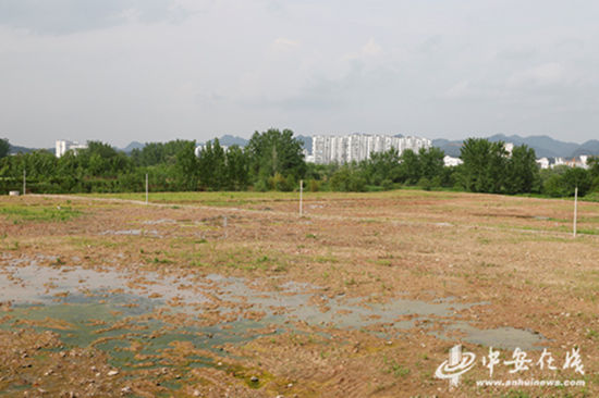 黄山隆阜一村：生态建村筑美丽家园