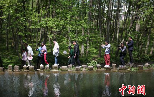 安徽黄山西溪南古村：清水碧树醉春游