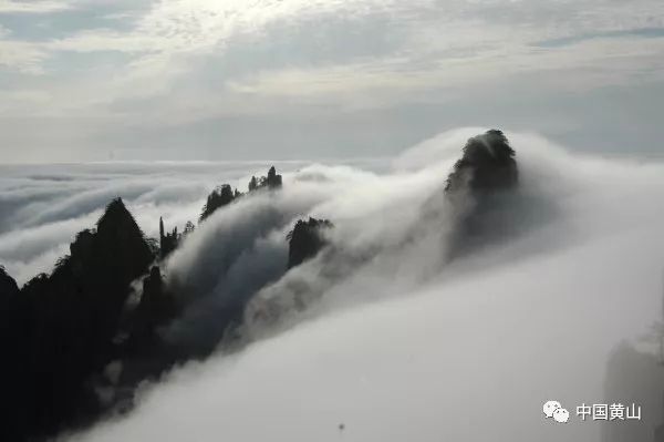 【网友看黄山】王序武：写给黄山的诗