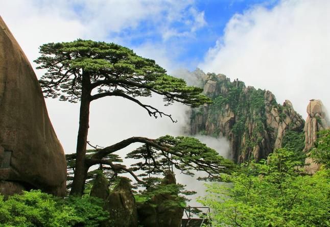 【中国旅游日】美好生活，“惠游”黄山