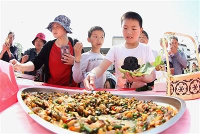 桑葚采摘节
