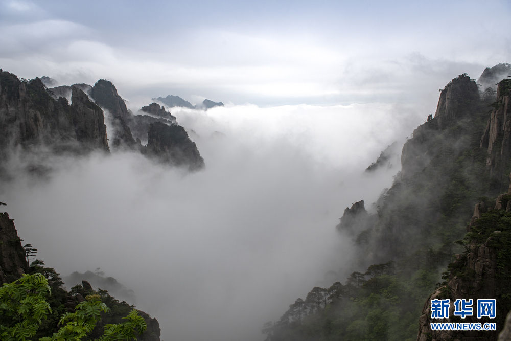 黄山：云烟竞秀 海涌峰头