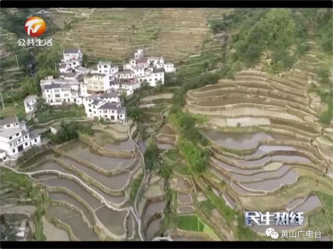 【大美黄山】高山梯田美如画 农耕文化迎客来 
