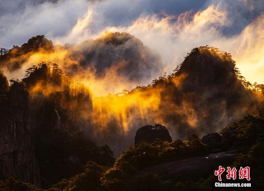 黄山现云海景观 云浪金辉熠熠