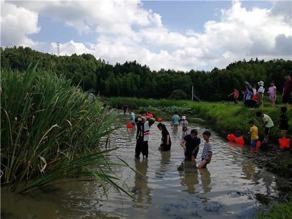 “畅游黄山西门 品鉴生态稻虾” 黄山区焦村镇举办第三届生态稻虾美食文化节