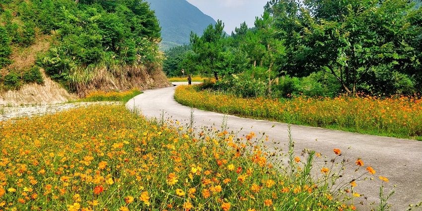 新丰乡：“最美公路”引客来