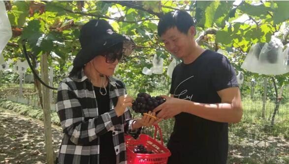 生态农业品质高 农旅结合开新篇