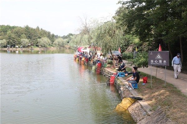市第三届全民健身运动会启幕