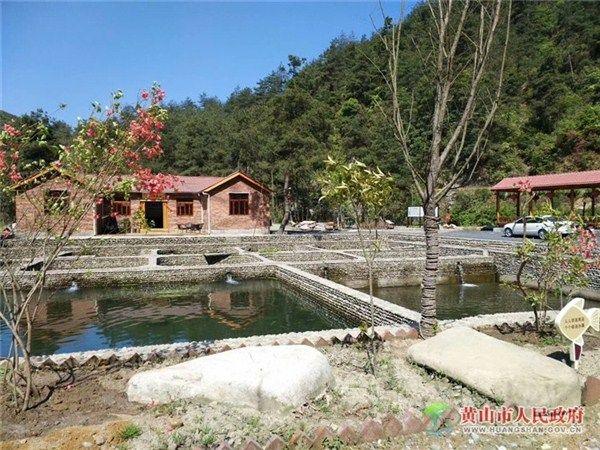 一个山区贫困村的美丽蜕变