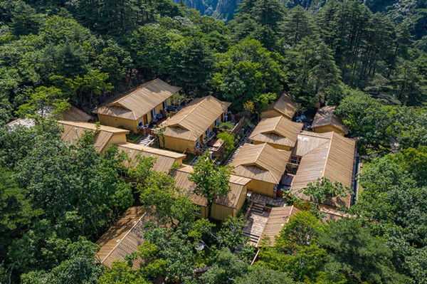 爱是什么你说了算！黄山之巅寻找爱的答案