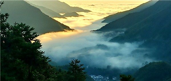 鹤城乡：右龙雨后现“平流雾”美景