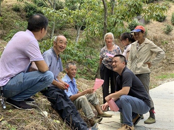 歙县织密山核桃采收安全网