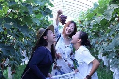 谱写新时代的“田园诗” ——2019杭州都市圈（黄山）乡村文旅发展大会侧记