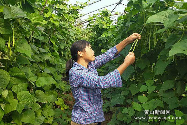 休宁万安镇：教育扶贫开出“希望之花”  