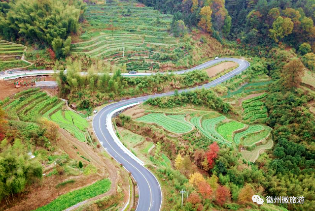 徽州最美乡村公路，秋色颜值爆表，不来打卡吗！