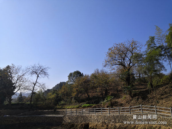 歙县绍濂乡：四种“技法”绘就美丽乡村画卷