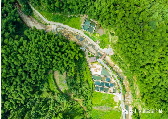 1小时直达泉水鱼基地，采摘香菇、漫步古道，共赴立冬后的第一场泉水鱼盛宴