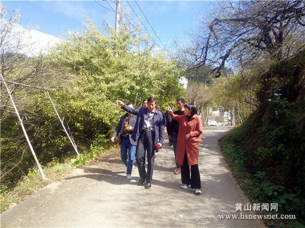 休宁县陈霞乡产业发展 助推脱贫增收