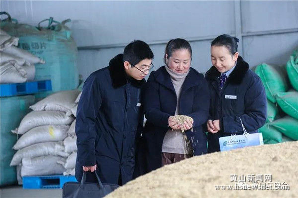 解渴！金融活水润泽黄山大地