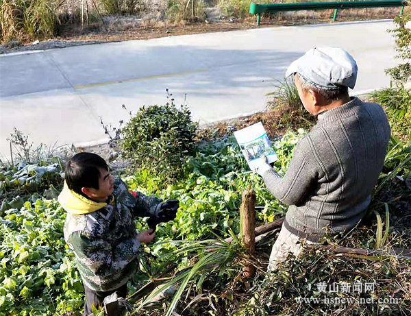 休宁县流口镇：“生态 +扶贫”增收增绿“双翼齐飞”