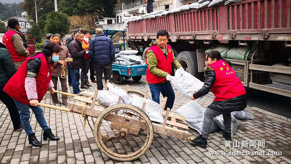 黟县洪星乡红光村：免费发放有机肥  护好茶园助增收