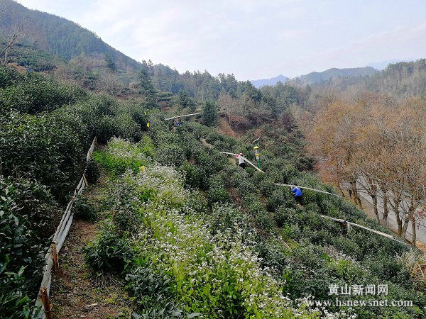 歙县深渡镇：冬闲时节农不闲 茶园梯改正当时